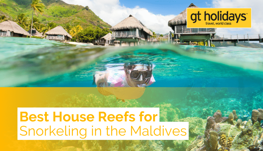 Maldives reefs snorkeling with Gtholidays