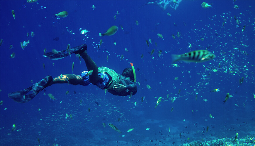 Snorkeling Maldives House Reef