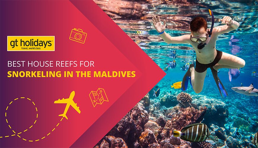 Snorkeling Maldives House Reefs