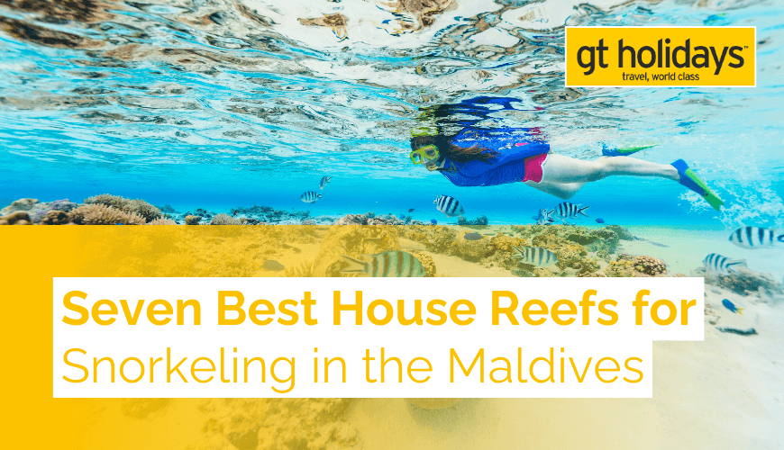 best maldives house reefs for snorkling