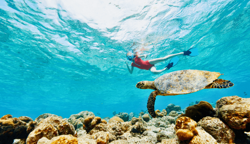 maldives under sea experience