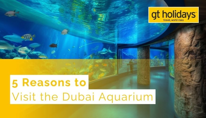 Dubai Aquarium Travel