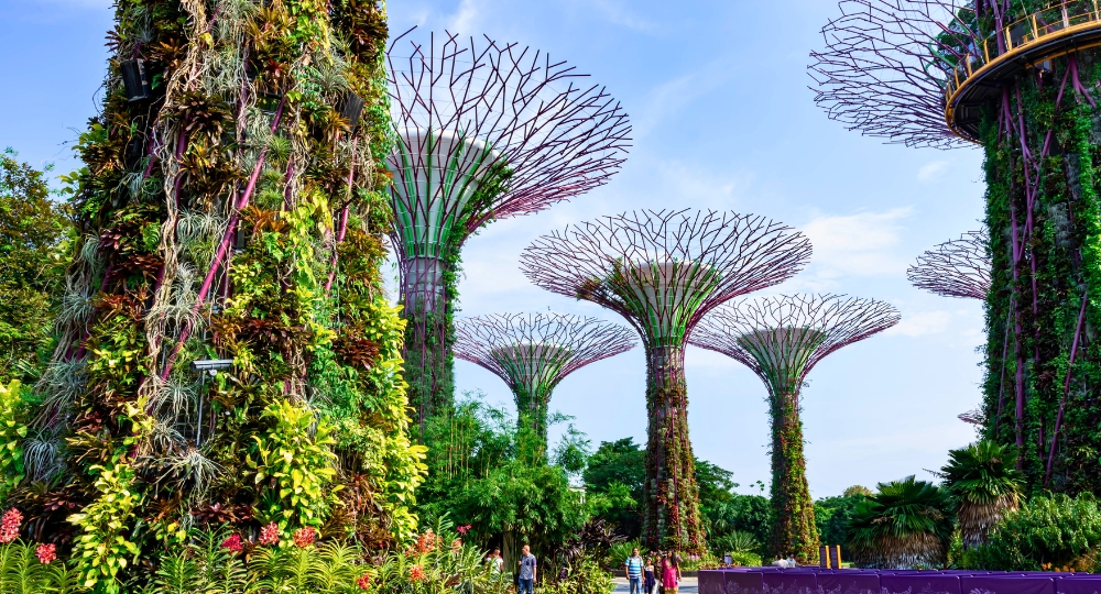 Tour Packages Singapore