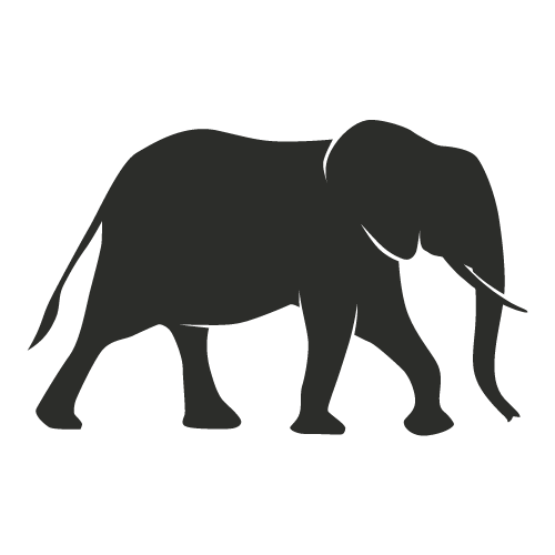 African Elephant (Bush Elephant)