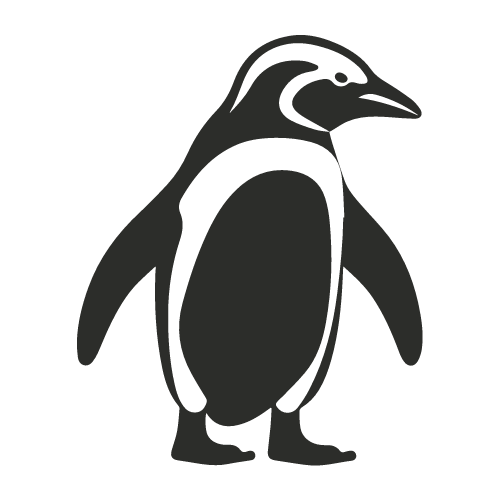 African Penguin