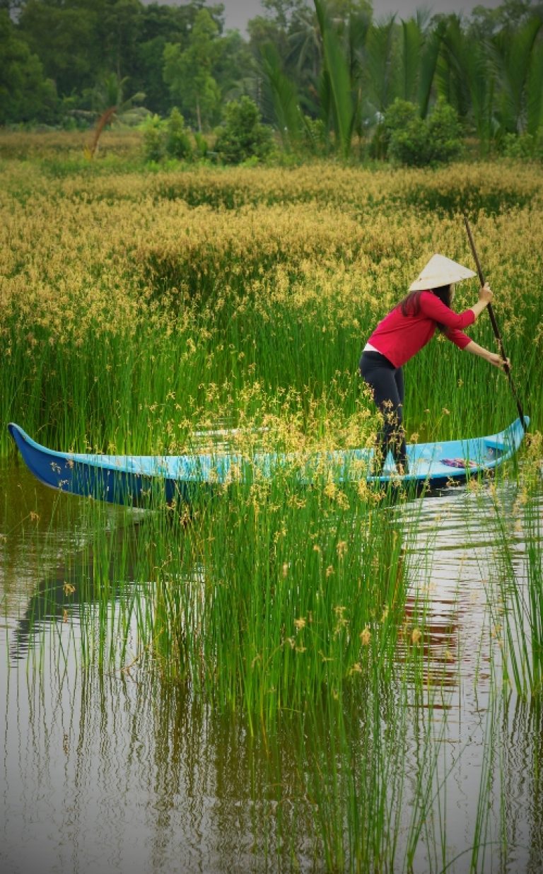 Mekong Delta