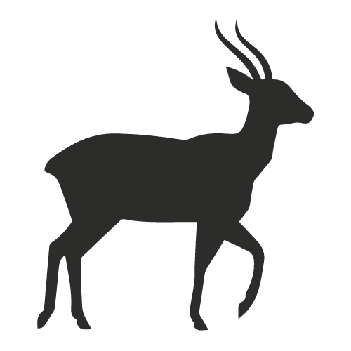 Saola