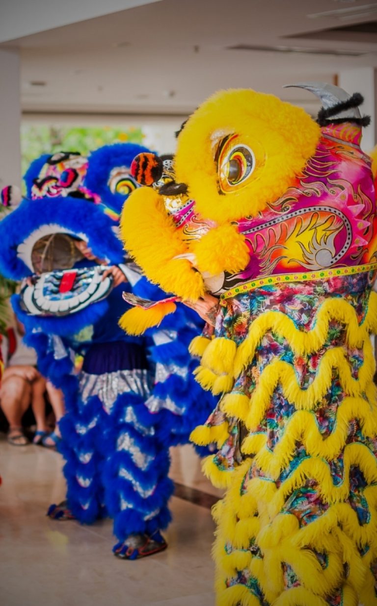 Vietnamese Festival