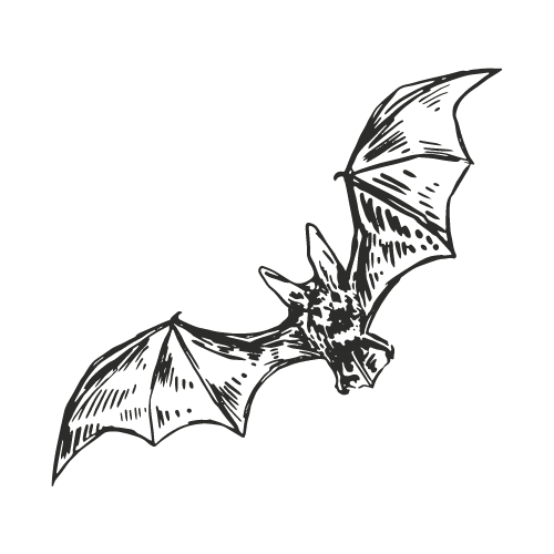 bats